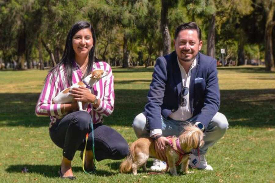 Lanzan plan de asistencia médica para perros y gatos