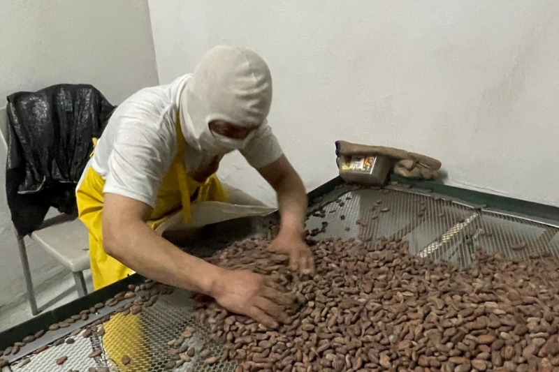 cacao-ecuador-precio