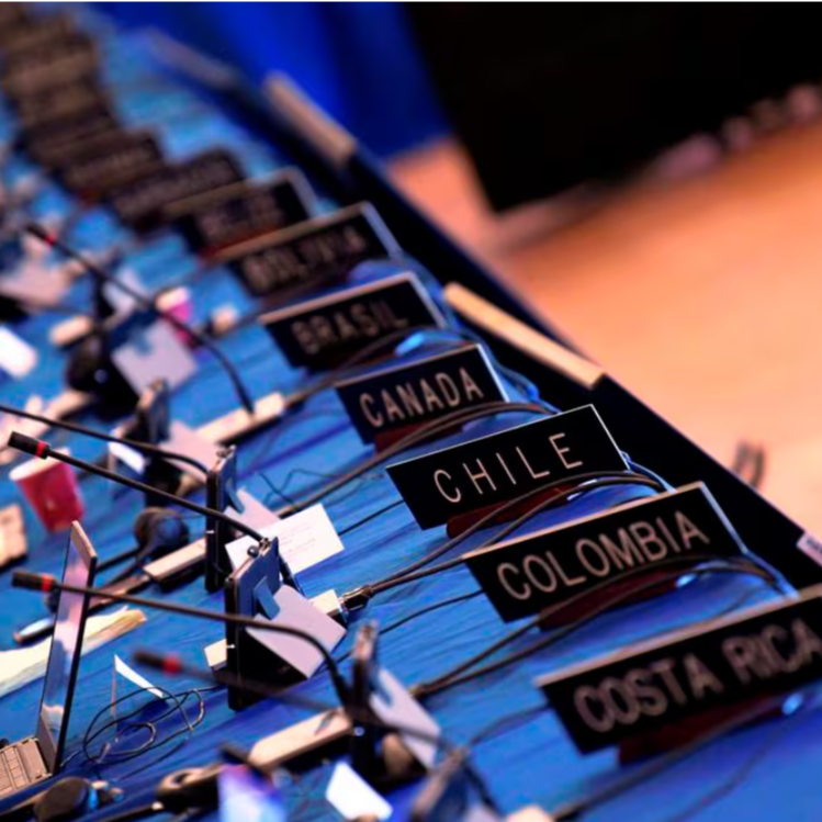 ecuador-mexico-OEA-jorge-glass