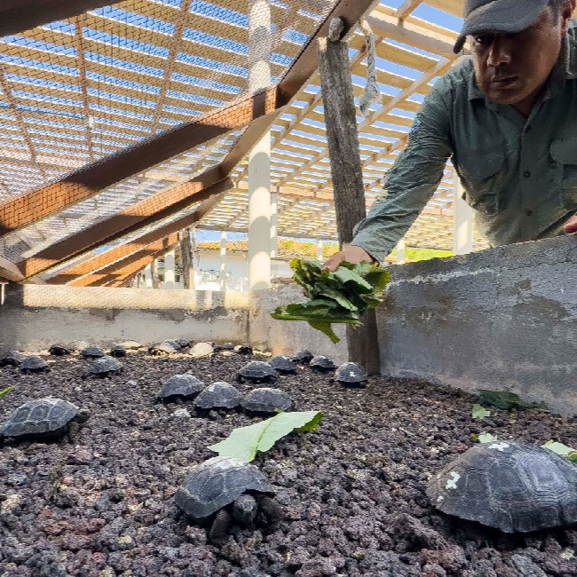 Fondos-de-canje-galapagos-conservacion