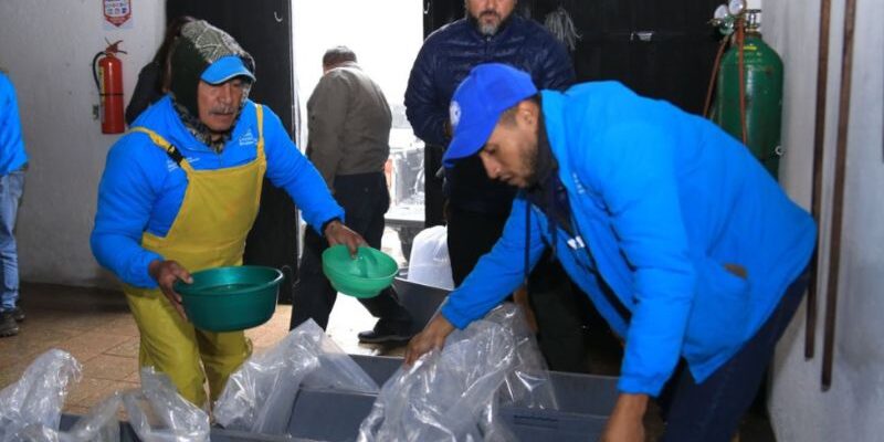 exportación-harida-de-pescado-ecuador