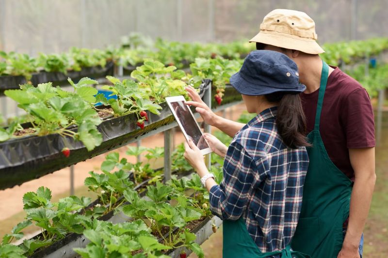 OnData-Alpina-Rockstar-Ecuador-agro