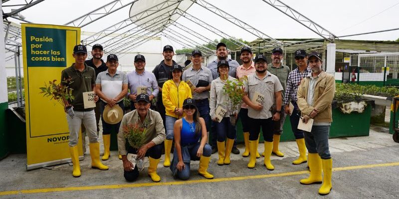 OnData-Novopan-Reconocimiento