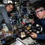 TikTok anuncia chats grupales y competirá con WhatsApp