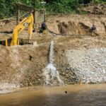 Seguros Alianza reforesta Patate con 200 nuevos árboles