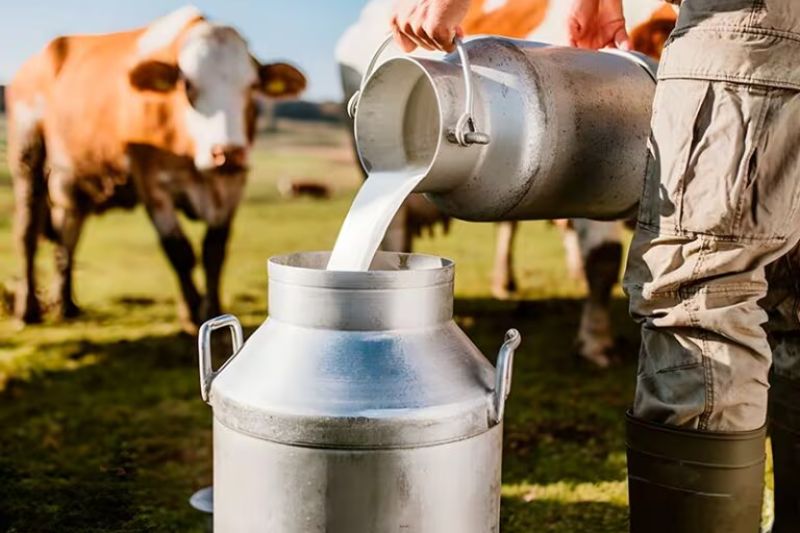 Productos lácteos ecuatorianos llegan al mercado chileno por primera vez