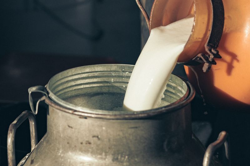 OnData-Leche-Bovinos