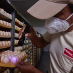 Latam Ecuador lanza servicio de WiFi a bordo para vuelos domésticos