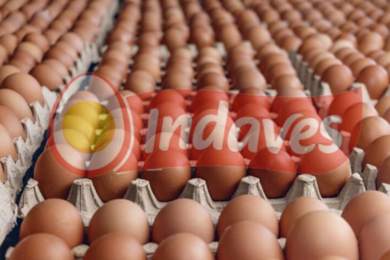 OnData-Indaves-Pronaca-huevos