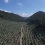 Anthropic busca financiación millonaria y revolucionar la IA generativa