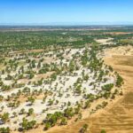 Aerolíneas de carga transportarán flores ecuatorianas desde Quito para San Valentín