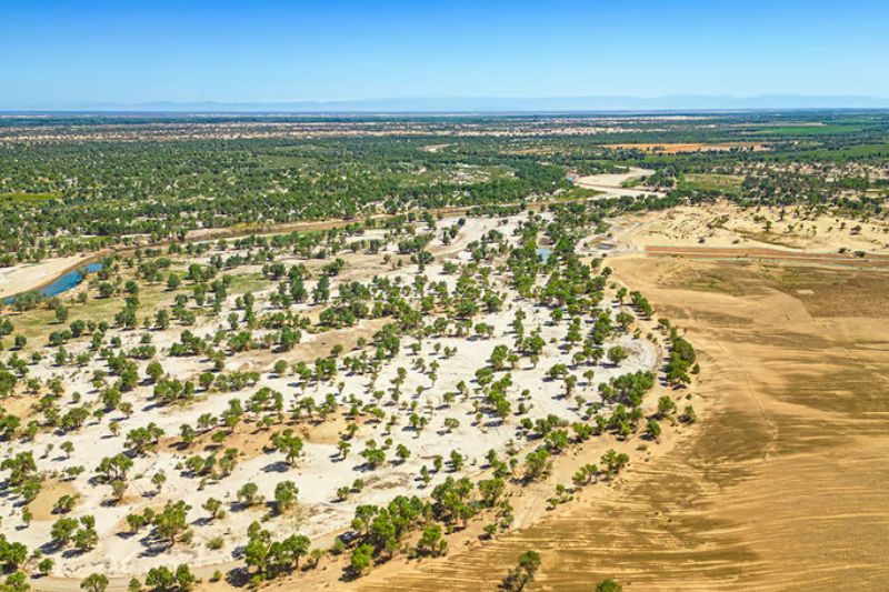 OnData-China-Muralla-Verde