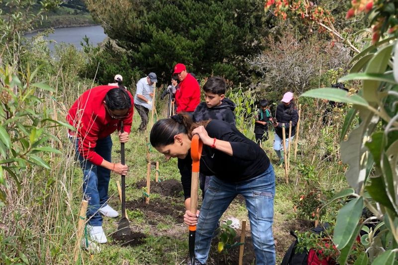 OnData-Ecuasanitas-siembra
