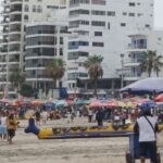 Nestlé impulsa innovación en el sector cacaotero