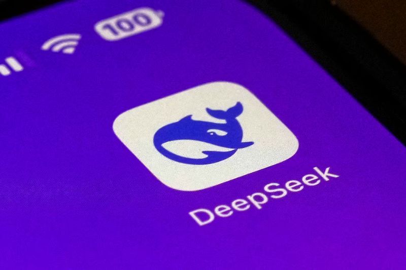 OnData-DeepSeek