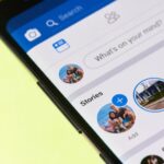 Cuenca inaugurará su primer cementerio para mascotas