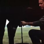 Canasta básica en Ecuador supera los $800 por quinto mes