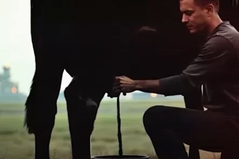 OnData-Anuncios-Youtube