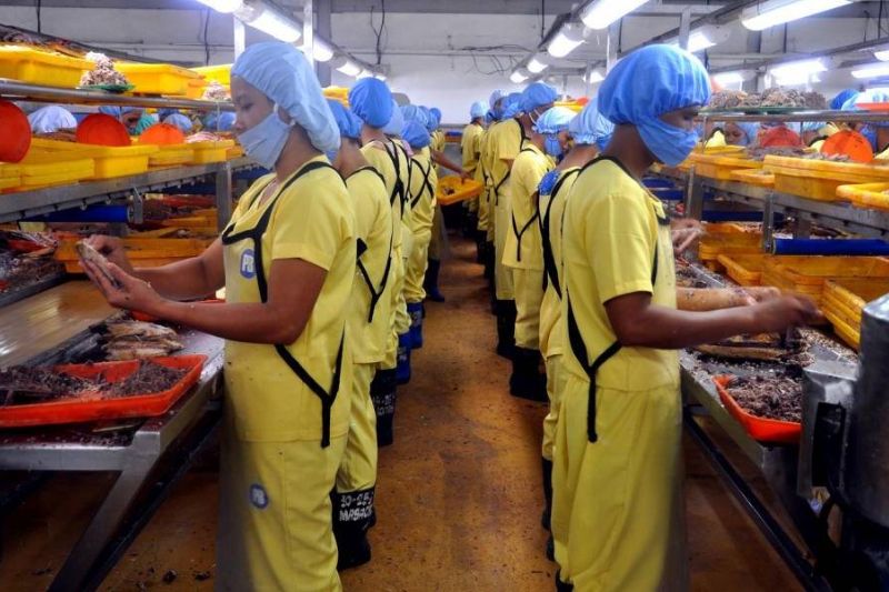 OnData-Atún-Procesado-Ecuador