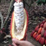 Ecuador lanza su primer instituto de educación dual