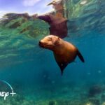 La inteligencia artificial impulsará el 5,4% del PIB de América Latina para 2030