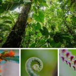 A 2 días de las elecciones: ¿Luisa o Daniel?