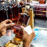 Disney+ estrena documental sobre los leones marinos de Galápagos