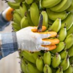 Noboa representa a Ecuador en foro global en Tianjin