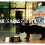 Ventas en Ecuador crecen 5 % y exportaciones no petroleras suben 21 %