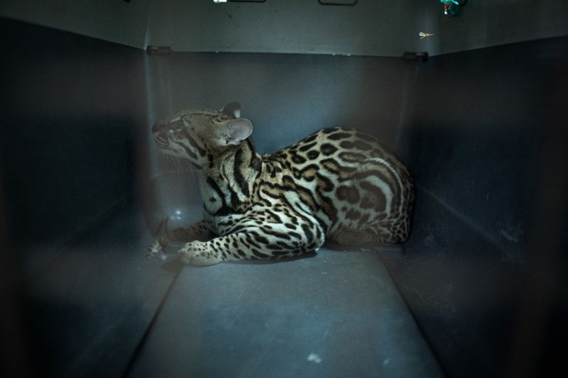 OnData-Sony-Fotografa