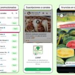 Ecuador y Mercado Libre impulsarán a mipymes con nuevo convenio