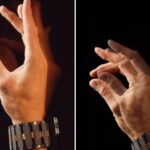 Frubis revela las marcas más buscadas en el entorno digital ecuatoriano