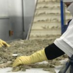 Canva lanza una venta de acciones para empleados por $42.000 millones y crecen rumores de IPO