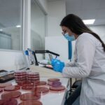 Lo que no sabías de Pycca