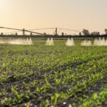 Arca Continental reconocido por su contribución a los ODS