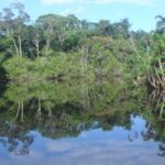 Ecuador gana arbitraje y evita pagar $214 millones por casinos cerrados