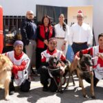 Cuando el algoritmo no quiere que te enamores