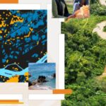 Cuando la emoción apaga el pensamiento