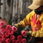 Jardines del Valle inaugura nuevas salas y celebra 33 años