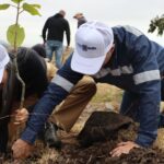 El consumidor que no tolera la incertidumbre