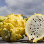 Gobierno entrega $50.000 a proyectos ganadores de Innovacamp 2025