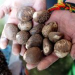 Empresas ecuatorianas avanzan en gestión responsable de e-waste