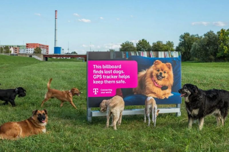 Crean valla que atrae perros perdidos para anunciar GPS