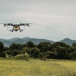 Cómo combatir las alucinaciones de la IA