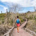 Ventas de autos crecieron 15% en 2025 impulsadas por diciembre