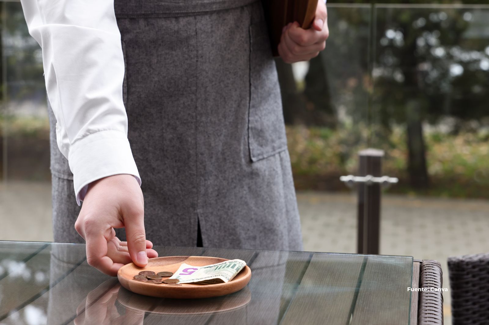 ¿Reconocimiento o presión social? El dilema de laspropinas