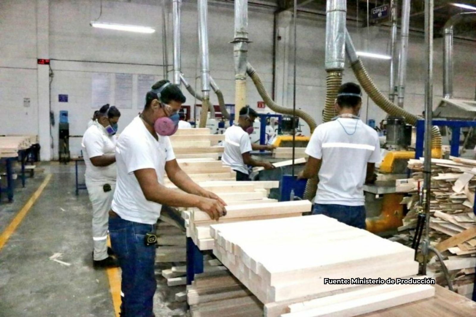 Industria forestal roza cifras exportadoras de flores