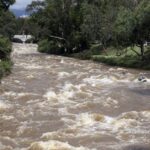 Freelancers: claves para formalizarse sin errores ante el SRI