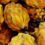 SpaceX evalúa fusión con xAI antes de su salida a bolsa