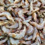 Galápagos recibirá $117 millones para acción climática